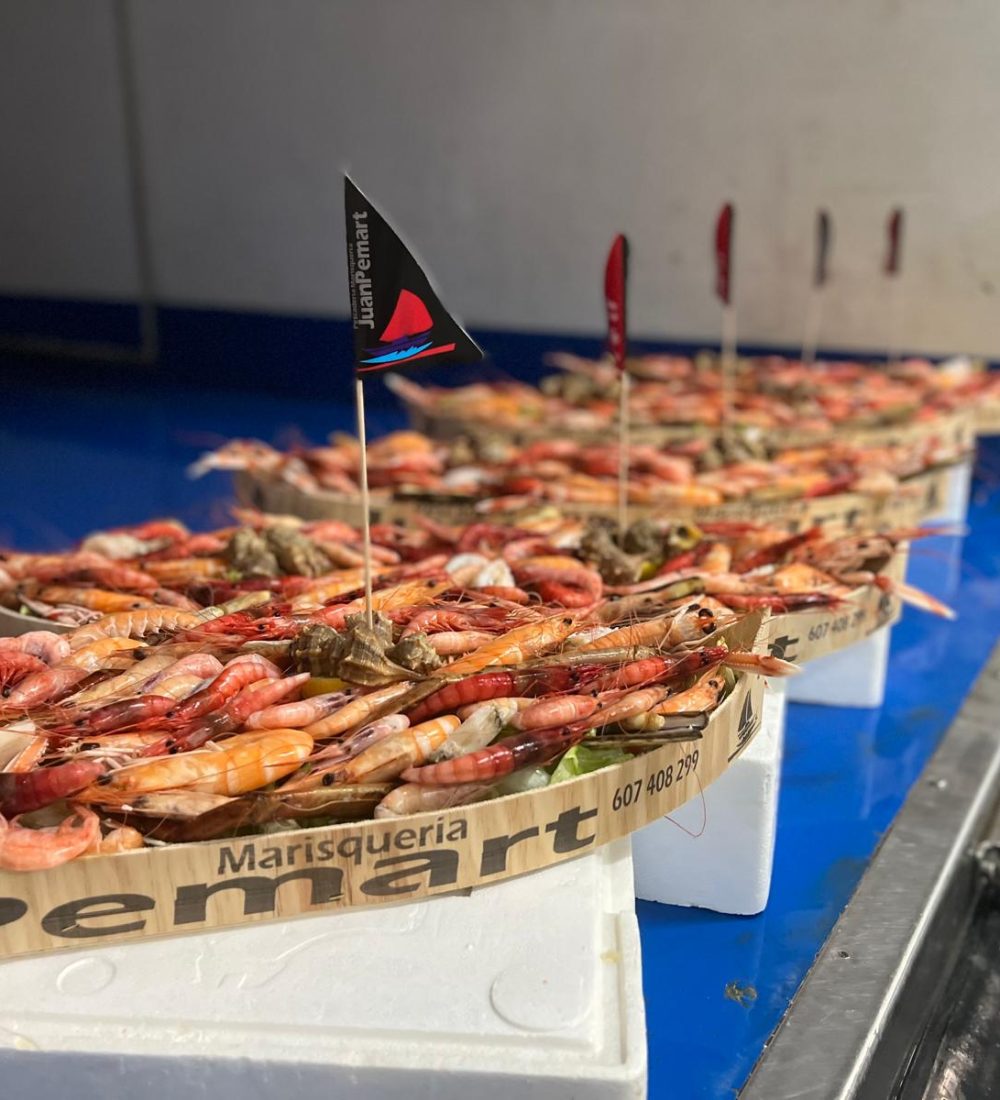 WhatsApp Image 2025-08-27 at 11.14.03 (3)